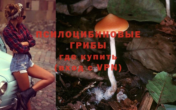 спиды Абдулино