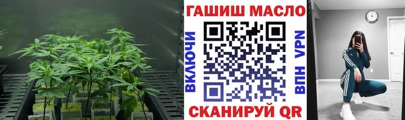 магазин продажи   Кирсанов  Дистиллят ТГК концентрат 