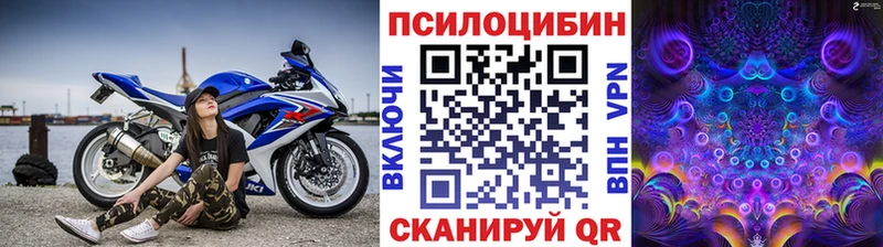 ОМГ ОМГ   наркотики  Кирсанов  Галлюциногенные грибы Psilocybe 